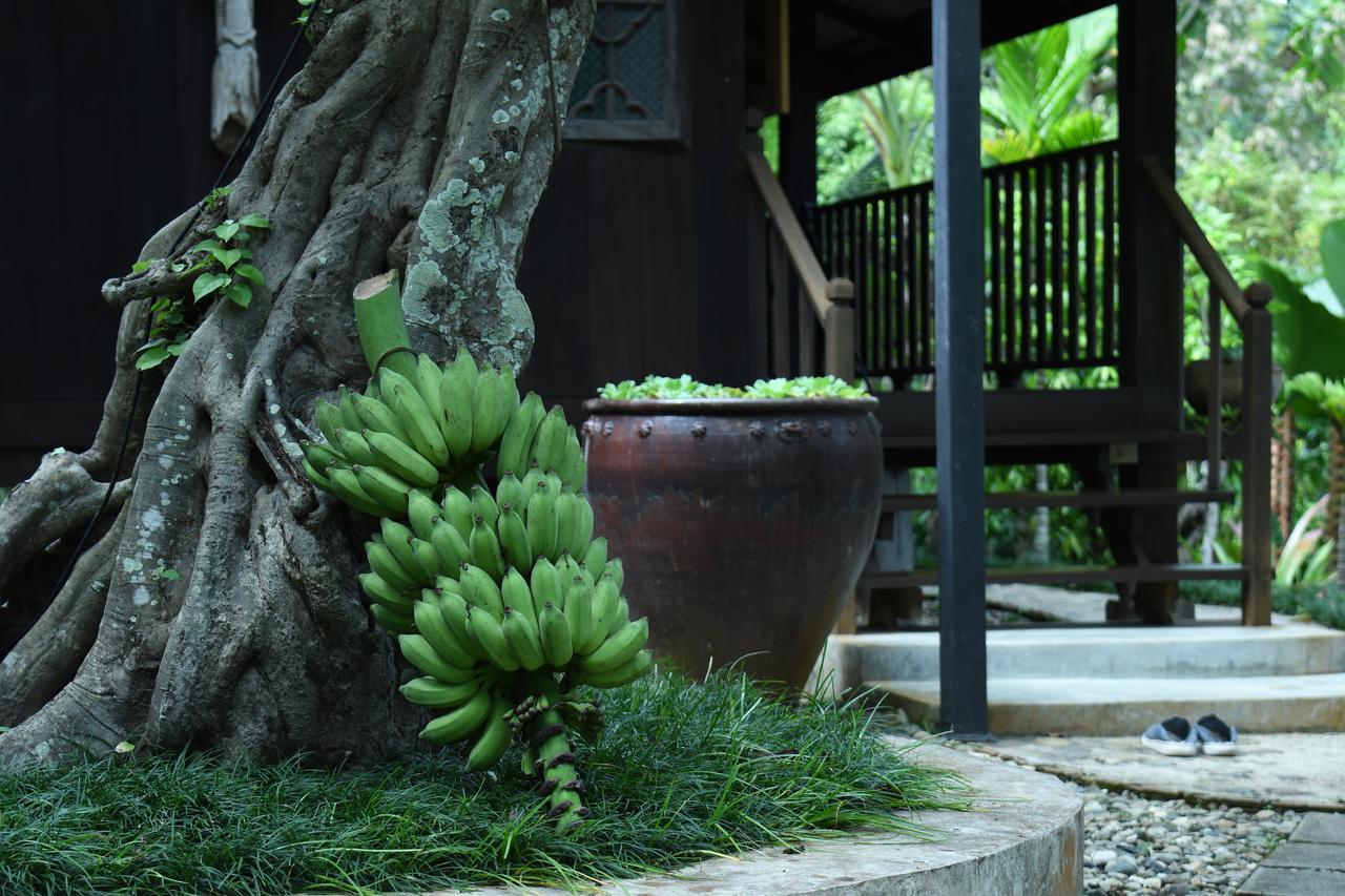 Villa Mae Nai Gardens à Ban Mae Mae Extérieur photo